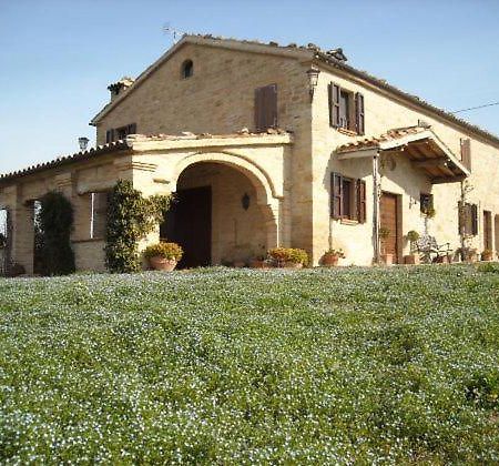 Cascinale La Mimosa Bed and Breakfast Cupramontana Eksteriør billede