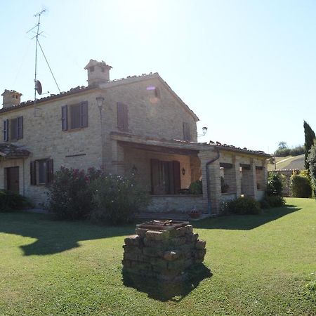 Cascinale La Mimosa Bed and Breakfast Cupramontana Eksteriør billede