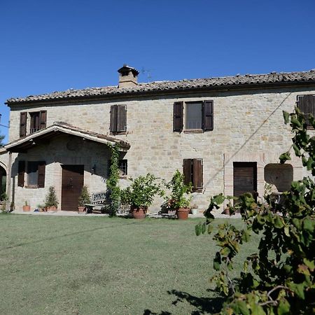 Cascinale La Mimosa Bed and Breakfast Cupramontana Eksteriør billede