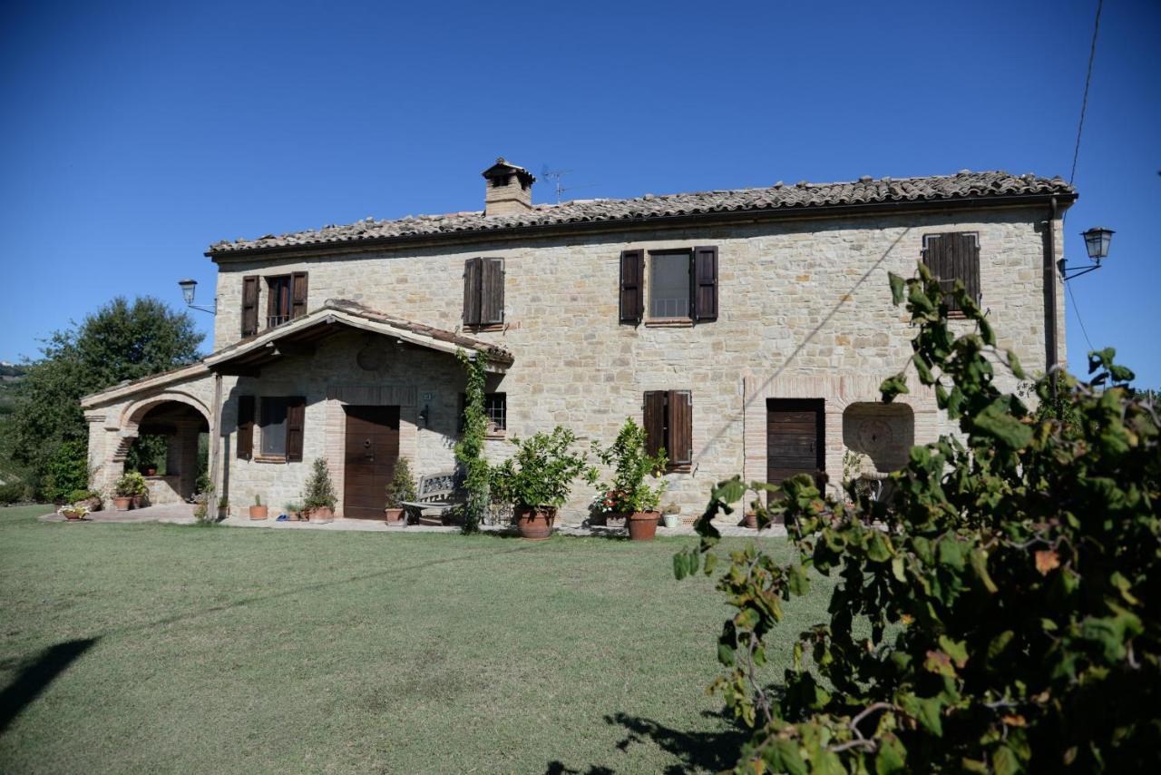 Cascinale La Mimosa Bed and Breakfast Cupramontana Eksteriør billede