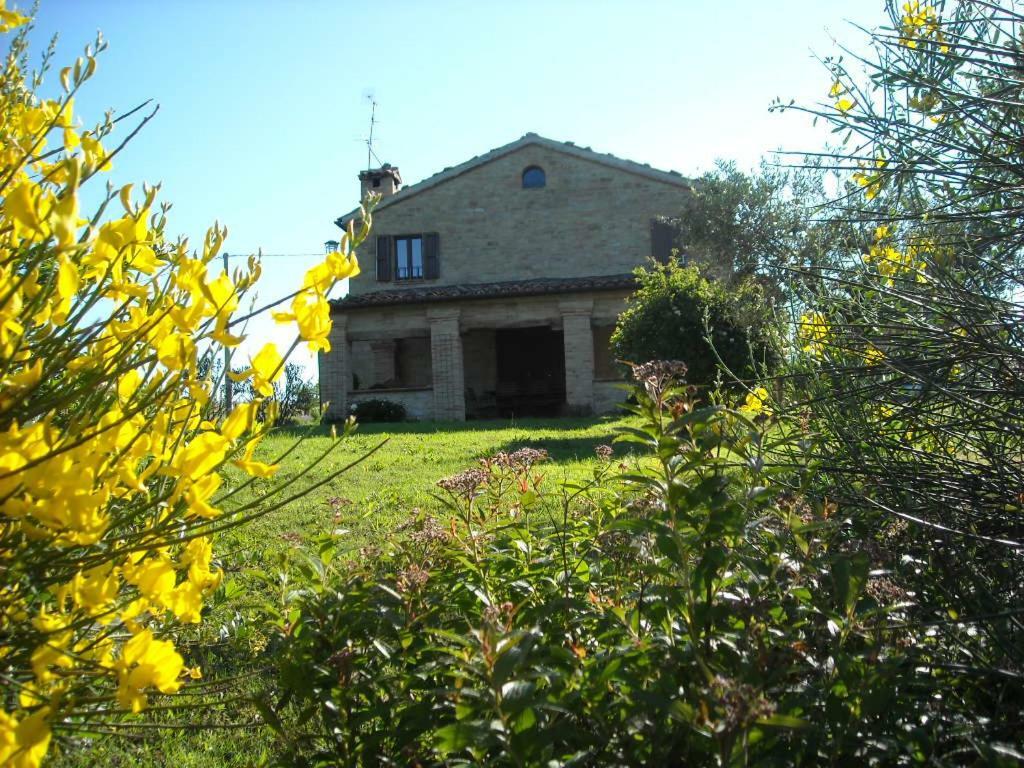 Cascinale La Mimosa Bed and Breakfast Cupramontana Eksteriør billede